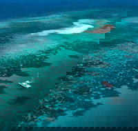 Outer Barrier Reef Sailing and Snorkeling Adventure from Port Douglas