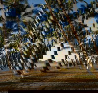 Port Douglas Round-Trip Transfer from Cairns with Free Time in Port Douglas