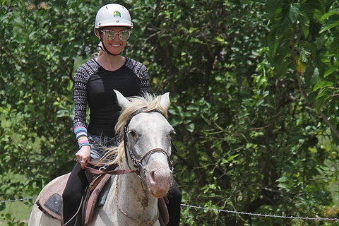Blazing Saddles Horse Riding - Holiday Sunshine Coast 9