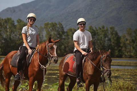 Blazing Saddles Horse Riding - Holiday Sunshine Coast 6