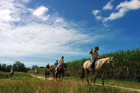 Blazing Saddles Horse Riding - Holiday Sunshine Coast 4