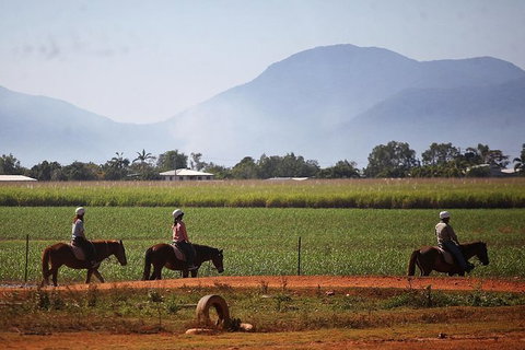 Blazing Saddles Horse Riding - Holiday Sunshine Coast 7