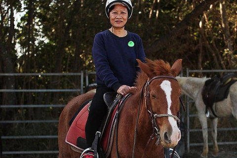 Blazing Saddles Horse Riding - Holiday Sunshine Coast 5