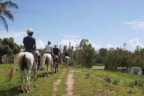 Blazing Saddles Horse Riding - Holiday Sunshine Coast 3
