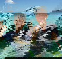 Ocean Spirit Michaelmas Cay Dive and Snorkel Cruise from Palm Cove - Sunshine Coast Tourism