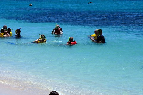 Ocean Spirit Michaelmas Cay Dive And Snorkel Cruise From Palm Cove - Sunshine Coast Tourism 1