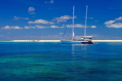 Ocean Spirit Michaelmas Cay Dive And Snorkel Cruise From Palm Cove - Sunshine Coast Tourism 3
