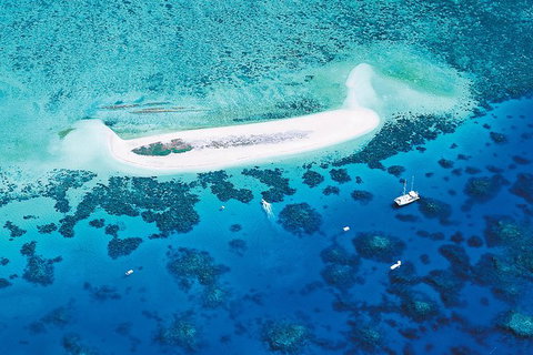 Ocean Spirit Michaelmas Cay Dive And Snorkel Cruise From Palm Cove - Sunshine Coast Tourism 7