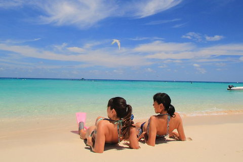 Ocean Spirit Michaelmas Cay Dive And Snorkel Cruise From Palm Cove - Sunshine Coast Tourism 2