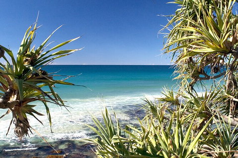 Gold Coast City Sights Tour From Brisbane - Sunshine Coast Tourism 10