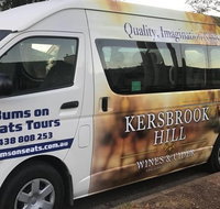 Brisbane To Gold Coast Airport Transfers - Sunshine Coast Tourism