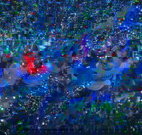 Infinity Attraction in Queensland Admission Ticket - Sunshine Coast Tourism