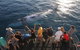 Hervey Bay Whale Watching Cruise - thumb 6