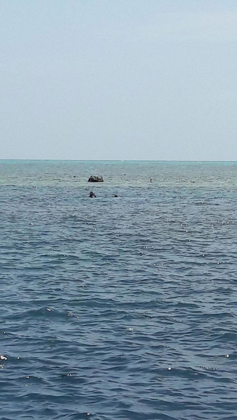 Great Barrier Reef Cruise From Townsville Or Magnetic Island - Sunshine Coast Tourism 2
