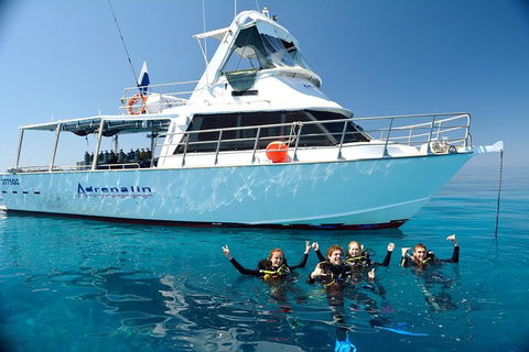 Great Barrier Reef Cruise From Townsville Or Magnetic Island - Sunshine Coast Tourism 0