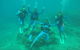 Great Barrier Reef Cruise From Townsville Or Magnetic Island - thumb 5