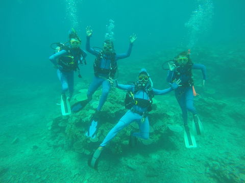 Great Barrier Reef Cruise From Townsville Or Magnetic Island - Sunshine Coast Tourism 5