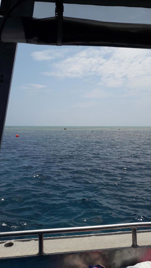 Great Barrier Reef Cruise From Townsville Or Magnetic Island - Sunshine Coast Tourism 3