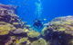 Great Barrier Reef Cruise From Townsville Or Magnetic Island - thumb 12