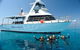 Great Barrier Reef Cruise From Townsville Or Magnetic Island - thumb 6