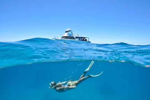 Great Barrier Reef Cruise From Townsville Or Magnetic Island - Sunshine Coast Tourism 10
