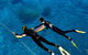Great Barrier Reef Cruise From Townsville Or Magnetic Island - thumb 13