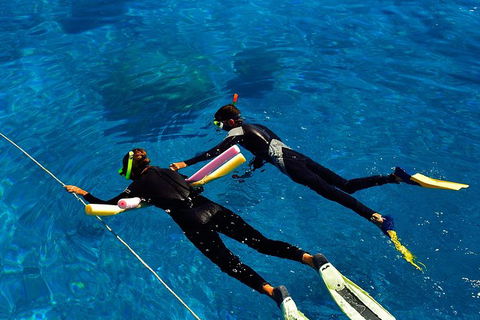 Great Barrier Reef Cruise From Townsville Or Magnetic Island - Sunshine Coast Tourism 13