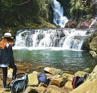 Lamington Day Tour - Sunshine Coast Tourism