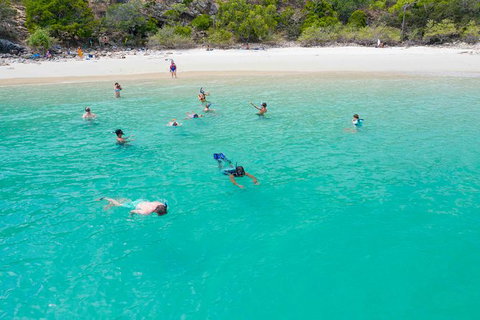 Stray Australia: Brisbane To Cairns - Freestyle Travel Pass - Sunshine Coast Tourism 0