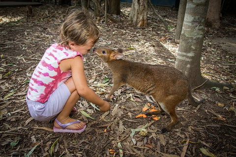 Hartley's Crocodile Adventures Day Trip From Cairns - Sunshine Coast Tourism 1