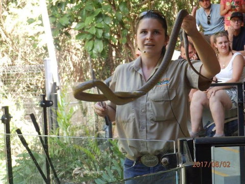 Hartley's Crocodile Adventures Day Trip From Cairns - Sunshine Coast Tourism 6