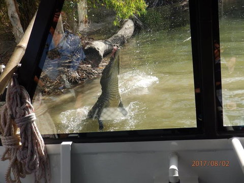 Hartley's Crocodile Adventures Day Trip From Cairns - Sunshine Coast Tourism 5