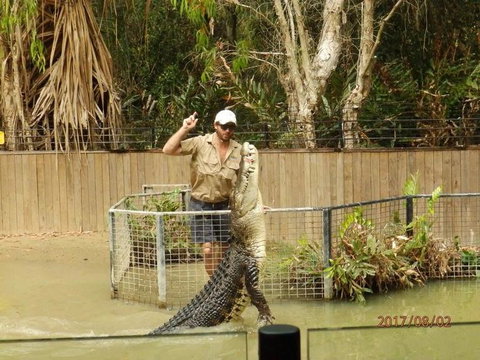 Hartley's Crocodile Adventures Day Trip From Cairns - Sunshine Coast Tourism 2
