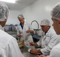 Camel Farm Lab Experience - Sunshine Coast Tourism