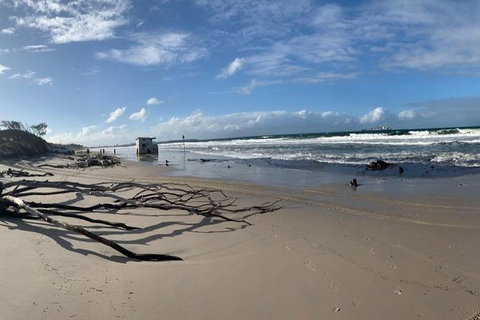 Bribie Island Boat And 4x4 Beach Tour - Sunshine Coast Tourism 8