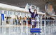 Private Transfer: Brisbane To Brisbane Airport (BNE) - thumb 4