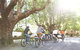 Brisbane Eat Street Markets Bike Tour - thumb 1