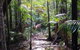 2-Day Fraser Island 4WD Tour From Brisbane Or The Gold Coast - thumb 8