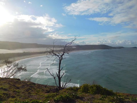2-Day Fraser Island 4WD Tour From Brisbane Or The Gold Coast - Sunshine Coast Tourism 6