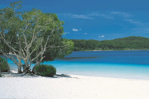 2-Day Fraser Island 4WD Tour From Brisbane Or The Gold Coast - Sunshine Coast Tourism 0