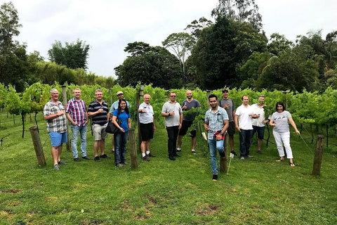 Full Day Mount Tamborine Winery Tour From Brisbane - Sunshine Coast Tourism 0