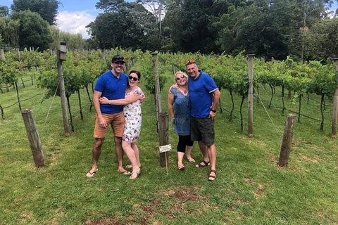 Full Day Mount Tamborine Winery Tour From Brisbane - Sunshine Coast Tourism 5