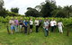 Full Day Mount Tamborine Winery Tour From Brisbane - thumb 2