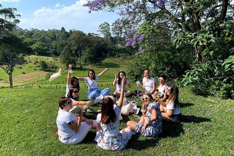 Full Day Mount Tamborine Winery Tour From Brisbane - Sunshine Coast Tourism 10