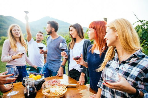 Full Day Mount Tamborine Winery Tour From Brisbane - Sunshine Coast Tourism 13