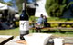 Full Day Mount Tamborine Winery Tour From Brisbane - thumb 7