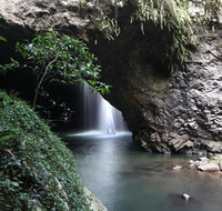 Small-Group 4WD Springbrook National Park Day Trip from Brisbane - Sunshine Coast Tourism