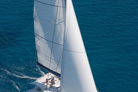 Afternoon Low Isles Snorkeling And Sailing Cruise From Port Douglas - Sunshine Coast Tourism 1