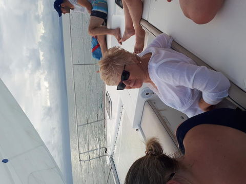 Afternoon Low Isles Snorkeling And Sailing Cruise From Port Douglas - Sunshine Coast Tourism 5