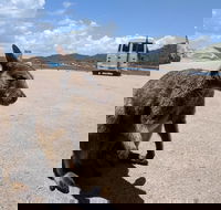 Magnetic Island Tour Maggie Comprehensive - Sunshine Coast Tourism